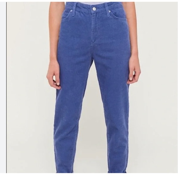 BDG Corduroy Mom High Rise Tapered Baggy Hipster Hippie Boho Artsy Hip Pants - Picture 2 of 10